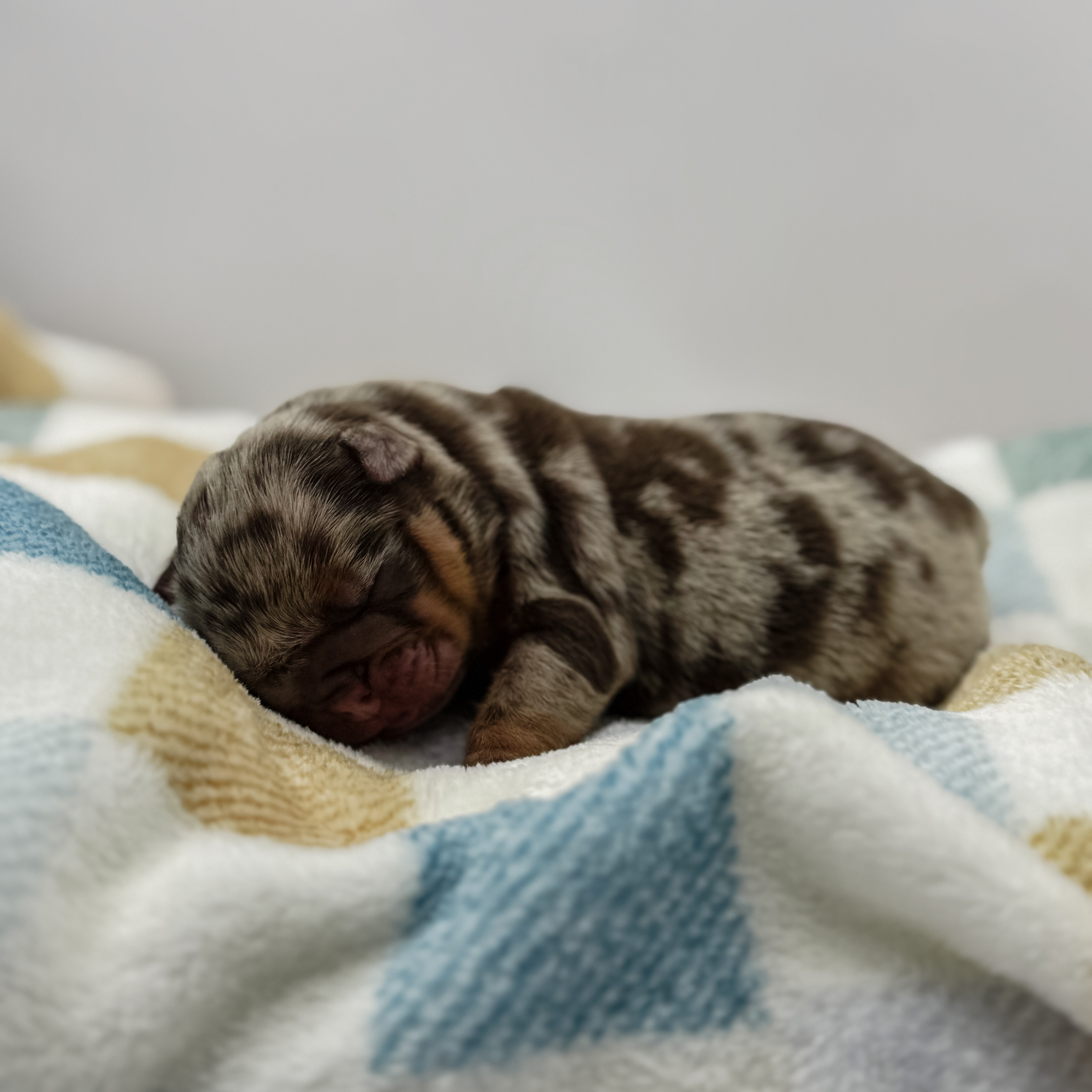 Nutella Being Cute